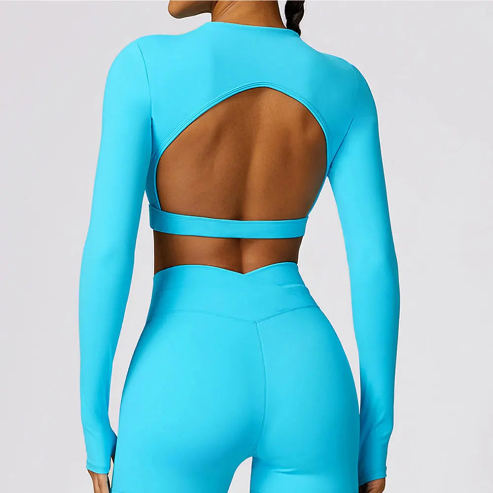 Long Sleeve Open Back Crop Top